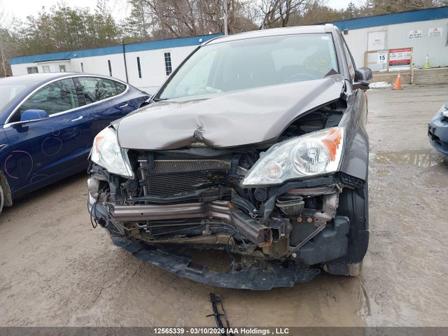 2010 Honda Cr-v Ex მანქანა იყიდება აუქციონზე, vin: 5J6RE4H57AL817749, აუქციონის ნომერი: 12565339