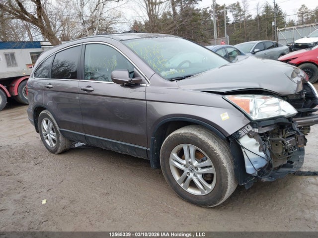 2010 Honda Cr-v Ex მანქანა იყიდება აუქციონზე, vin: 5J6RE4H57AL817749, აუქციონის ნომერი: 12565339