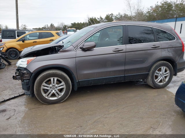2010 Honda Cr-v Ex მანქანა იყიდება აუქციონზე, vin: 5J6RE4H57AL817749, აუქციონის ნომერი: 12565339