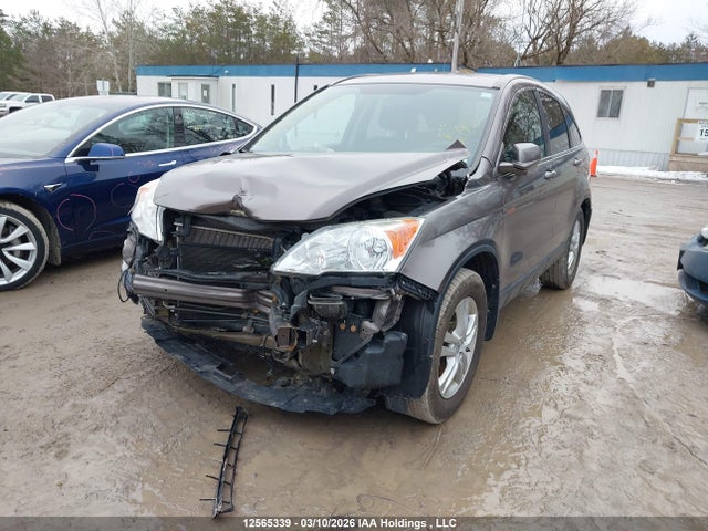2010 Honda Cr-v Ex მანქანა იყიდება აუქციონზე, vin: 5J6RE4H57AL817749, აუქციონის ნომერი: 12565339
