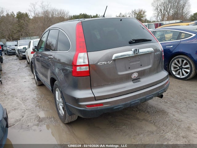 2010 Honda Cr-v Ex მანქანა იყიდება აუქციონზე, vin: 5J6RE4H57AL817749, აუქციონის ნომერი: 12565339