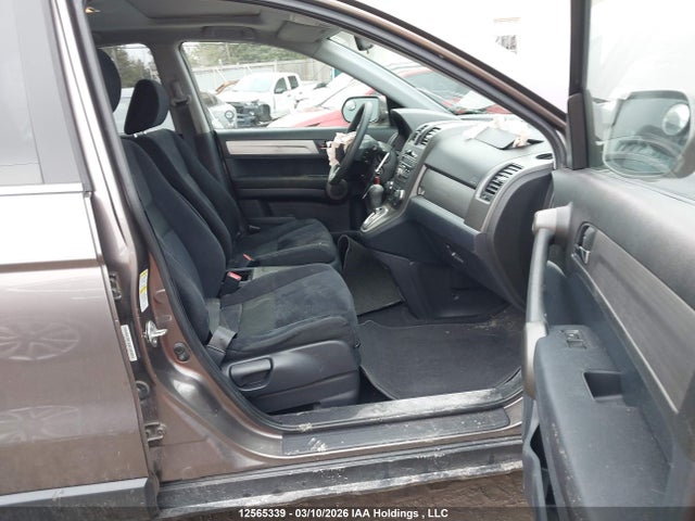 2010 Honda Cr-v Ex მანქანა იყიდება აუქციონზე, vin: 5J6RE4H57AL817749, აუქციონის ნომერი: 12565339