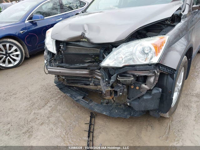2010 Honda Cr-v Ex მანქანა იყიდება აუქციონზე, vin: 5J6RE4H57AL817749, აუქციონის ნომერი: 12565339