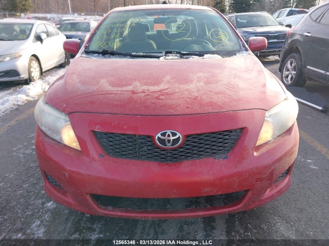12565346 :رقم المزاد ، 2T1BU4EE0AC453051 vin ، 2010 Toyota Corolla مزاد بيع