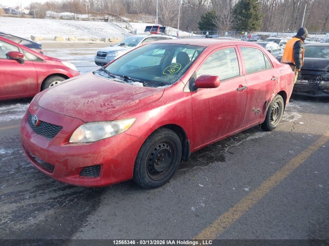 12565346 :رقم المزاد ، 2T1BU4EE0AC453051 vin ، 2010 Toyota Corolla مزاد بيع