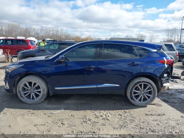 5J8TC2H71LL806564 Acura RDX