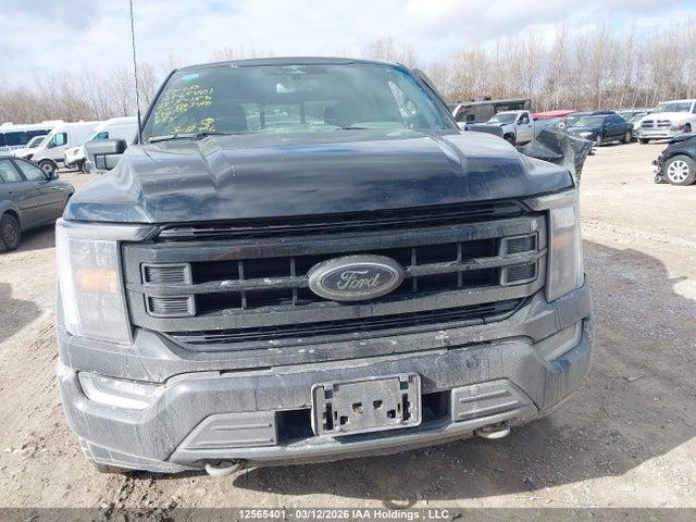 Aukcja sprzedaży 2023 Ford F-150 King Ranch/lariat/platinum/tremor/xl/xlt, vin: 1FTFW1E80PFB03410, numer aukcji: 12565401