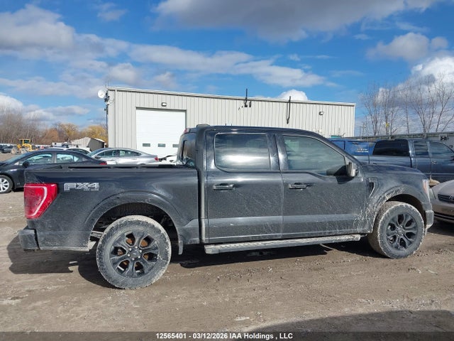 Aukcja sprzedaży 2023 Ford F-150 King Ranch/lariat/platinum/tremor/xl/xlt, vin: 1FTFW1E80PFB03410, numer aukcji: 12565401