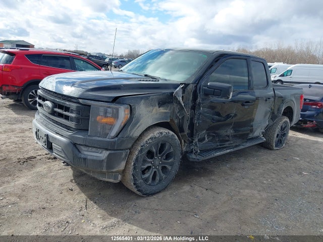 Aukcja sprzedaży 2023 Ford F-150 King Ranch/lariat/platinum/tremor/xl/xlt, vin: 1FTFW1E80PFB03410, numer aukcji: 12565401