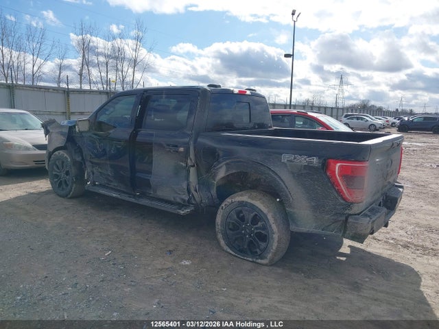 Aukcja sprzedaży 2023 Ford F-150 King Ranch/lariat/platinum/tremor/xl/xlt, vin: 1FTFW1E80PFB03410, numer aukcji: 12565401
