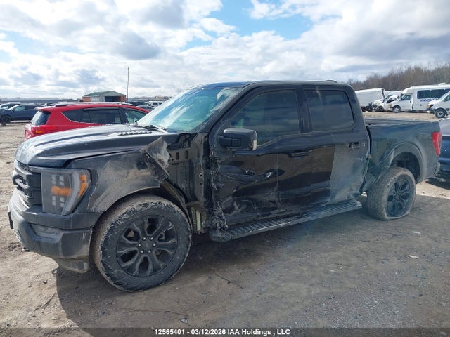 Aukcja sprzedaży 2023 Ford F-150 King Ranch/lariat/platinum/tremor/xl/xlt, vin: 1FTFW1E80PFB03410, numer aukcji: 12565401