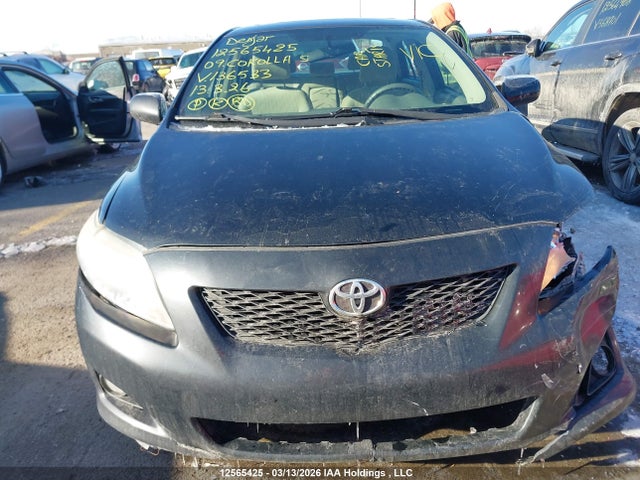 12565425 :رقم المزاد ، 2T1BU40E79C136533 vin ، 2009 Toyota Corolla S/le/xle مزاد بيع