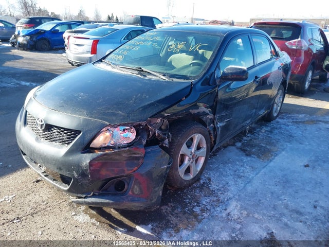 12565425 :رقم المزاد ، 2T1BU40E79C136533 vin ، 2009 Toyota Corolla S/le/xle مزاد بيع