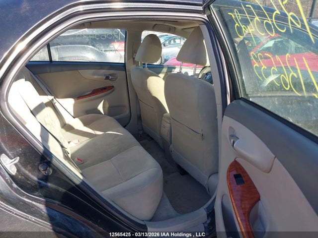 12565425 :رقم المزاد ، 2T1BU40E79C136533 vin ، 2009 Toyota Corolla S/le/xle مزاد بيع