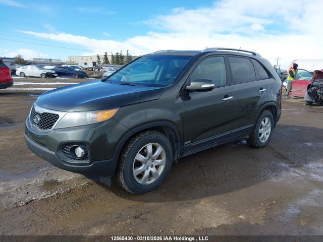 Продаж на аукціоні авто 2011 Kia Sorento Lx, vin: 5XYKTCA16BG161684, номер лоту: 12565430