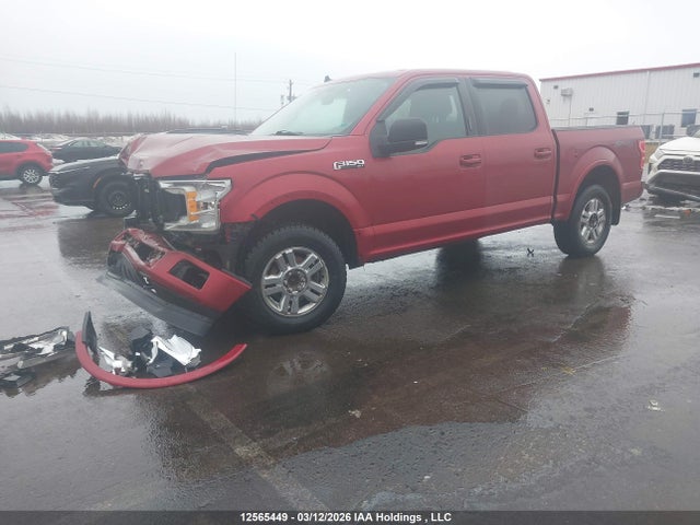 Продаж на аукціоні авто 2019 Ford F-150 Xlt, vin: 1FTEW1E55KFB05843, номер лоту: 12565449