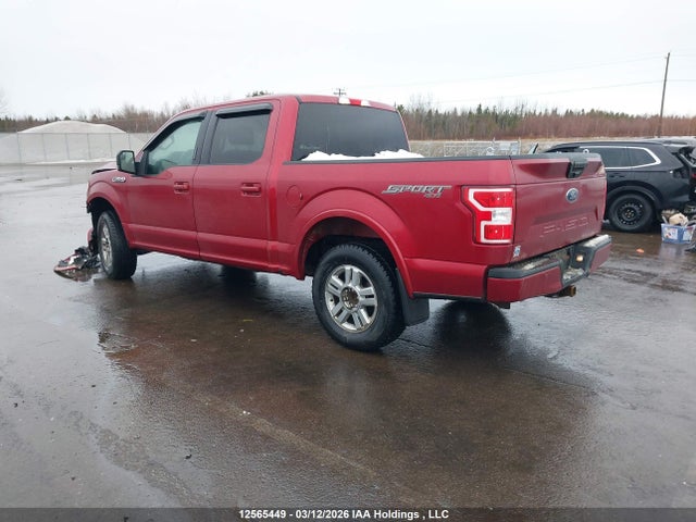 Продаж на аукціоні авто 2019 Ford F-150 Xlt, vin: 1FTEW1E55KFB05843, номер лоту: 12565449