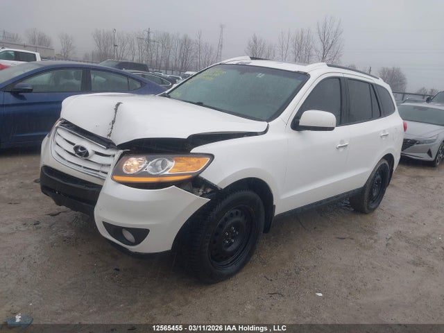Продажа на аукционе авто 2011 Hyundai Santa Fe, vin: 5XYZHDAG6BG024948, номер лота: 12565455