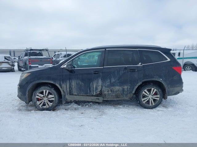 5FNYF6H53GB502632 Honda Pilot