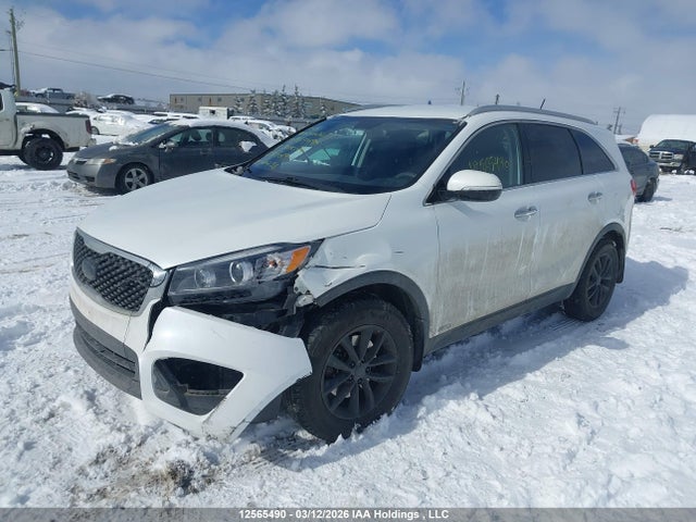 12565490 :رقم المزاد ، 5XYPGDA34HG317019 vin ، 2017 Kia Sorento Lx/l مزاد بيع