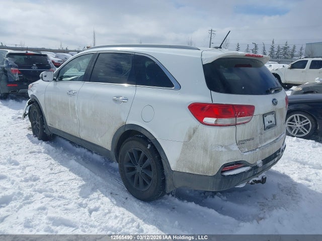 12565490 :رقم المزاد ، 5XYPGDA34HG317019 vin ، 2017 Kia Sorento Lx/l مزاد بيع