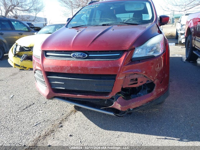 2014 Ford Escape Se მანქანა იყიდება აუქციონზე, vin: 1FMCU9GX4EUB87960, აუქციონის ნომერი: 12565524