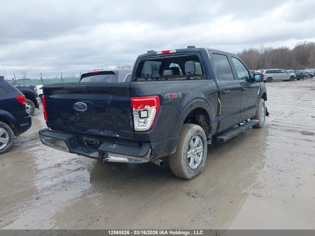 Aukcja sprzedaży 2023 Ford F-150 Xlt, vin: 1FTEW1EB9PKD58796, numer aukcji: 12565526