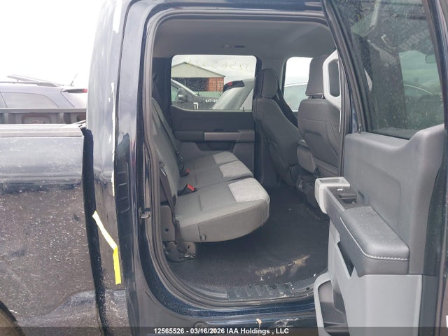 Aukcja sprzedaży 2023 Ford F-150 Xlt, vin: 1FTEW1EB9PKD58796, numer aukcji: 12565526