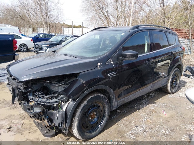 12565546 :رقم المزاد ، 1FMCU9HD2KUC58427 vin ، 2019 Ford Escape مزاد بيع