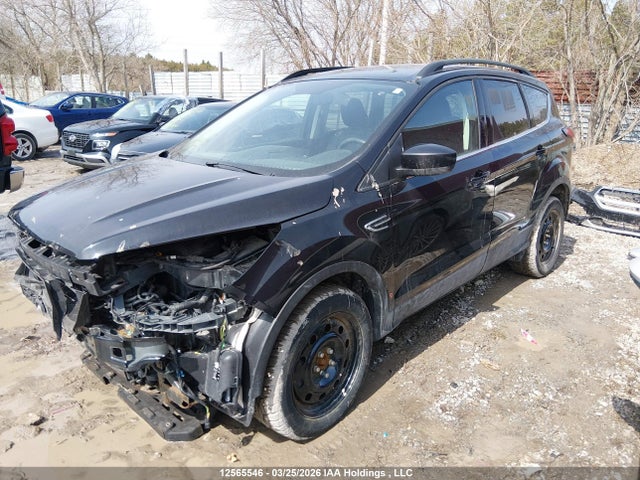 12565546 :رقم المزاد ، 1FMCU9HD2KUC58427 vin ، 2019 Ford Escape مزاد بيع