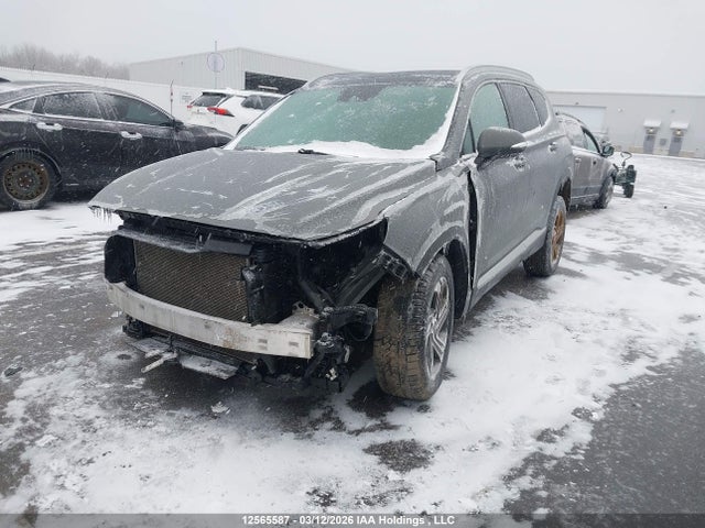 2021 Hyundai Santa Fe Preferred Awd With Trend Package მანქანა იყიდება აუქციონზე, vin: 5NMS3DAJ2MH316908, აუქციონის ნომერი: 12565587