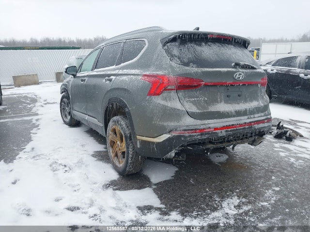 2021 Hyundai Santa Fe Preferred Awd With Trend Package მანქანა იყიდება აუქციონზე, vin: 5NMS3DAJ2MH316908, აუქციონის ნომერი: 12565587