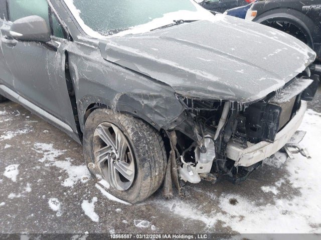 2021 Hyundai Santa Fe Preferred Awd With Trend Package მანქანა იყიდება აუქციონზე, vin: 5NMS3DAJ2MH316908, აუქციონის ნომერი: 12565587