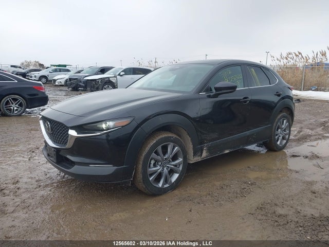 Aukcja sprzedaży 2024 Mazda Cx-30 Preferred, vin: 3MVDMBCM6RM701585, numer aukcji: 12565602