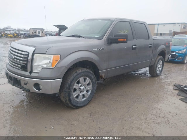 Продажа на аукционе авто 2010 Ford F-150 Fx4/harley-davidson/lariat/xlt, vin: 1FTFW1EV2AFB89901, номер лота: 12565641