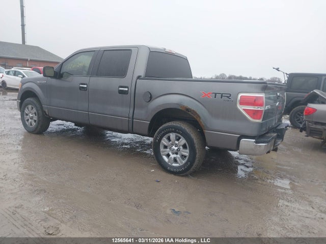 Продажа на аукционе авто 2010 Ford F-150 Fx4/harley-davidson/lariat/xlt, vin: 1FTFW1EV2AFB89901, номер лота: 12565641