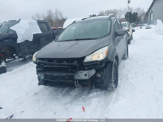 Aukcja sprzedaży 2013 Ford Escape Se, vin: 1FMCU0GXXDUA43727, numer aukcji: 12565667