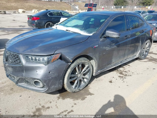 19UUB3F6XLA800989 Acura TLX
