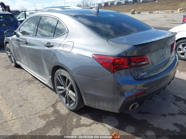 19UUB3F6XLA800989 Acura TLX