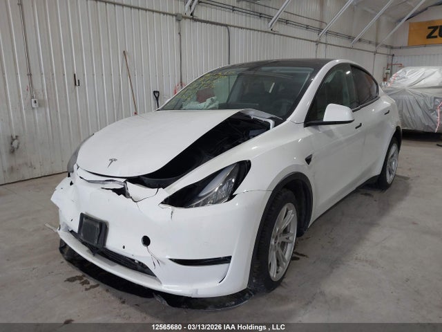 Tesla Model Y 2021 5YJYGDEE7MF293834 Image 2