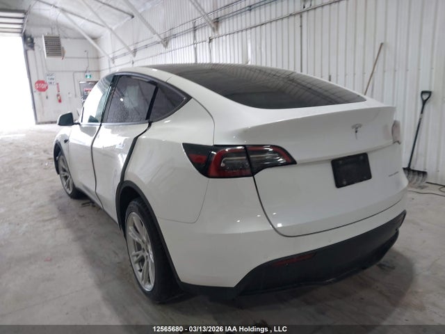 Tesla Model Y 2021 5YJYGDEE7MF293834 Image 3