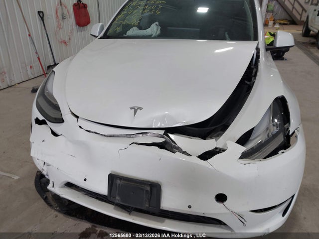 Tesla Model Y 2021 5YJYGDEE7MF293834 Image 6