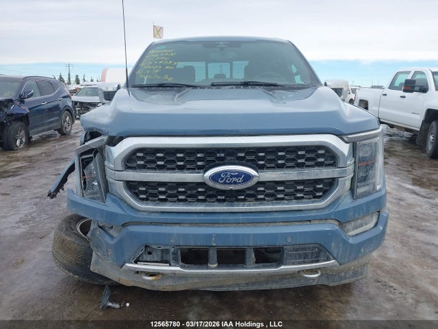Продаж на аукціоні авто 2023 Ford F-150 Platinum, vin: 1FTFW1E58PFB37553, номер лоту: 12565780