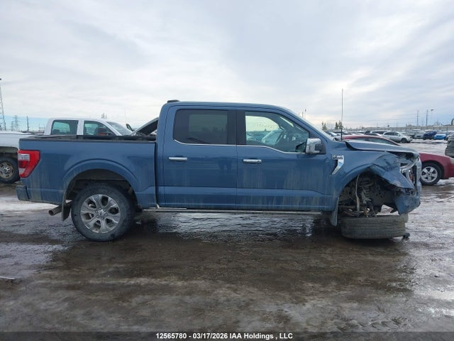 Продаж на аукціоні авто 2023 Ford F-150 Platinum, vin: 1FTFW1E58PFB37553, номер лоту: 12565780
