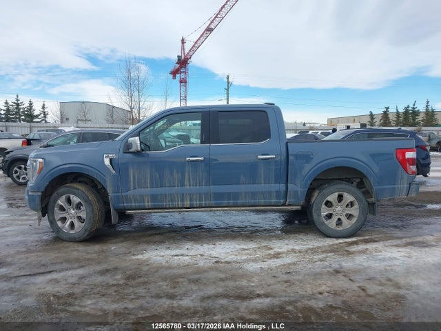 Продаж на аукціоні авто 2023 Ford F-150 Platinum, vin: 1FTFW1E58PFB37553, номер лоту: 12565780