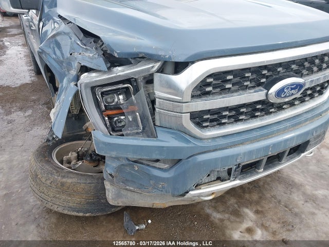 Продаж на аукціоні авто 2023 Ford F-150 Platinum, vin: 1FTFW1E58PFB37553, номер лоту: 12565780