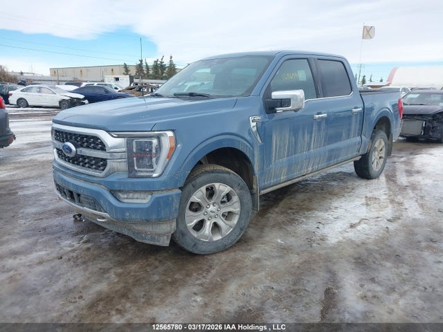 Продаж на аукціоні авто 2023 Ford F-150 Platinum, vin: 1FTFW1E58PFB37553, номер лоту: 12565780