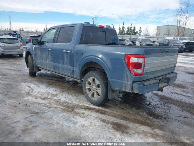 Продаж на аукціоні авто 2023 Ford F-150 Platinum, vin: 1FTFW1E58PFB37553, номер лоту: 12565780