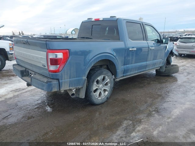 Продаж на аукціоні авто 2023 Ford F-150 Platinum, vin: 1FTFW1E58PFB37553, номер лоту: 12565780