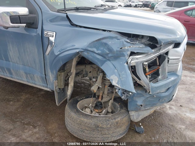 Продаж на аукціоні авто 2023 Ford F-150 Platinum, vin: 1FTFW1E58PFB37553, номер лоту: 12565780